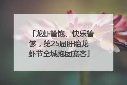 龙虾管饱、快乐管够，第25届盱眙龙虾节全城抱团宠客