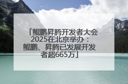 鲲鹏昇腾开发者大会2025在北京举办：鲲鹏、昇腾已发展开发者超665万