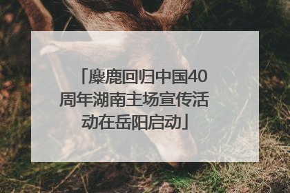 麋鹿回归中国40周年湖南主场宣传活动在岳阳启动