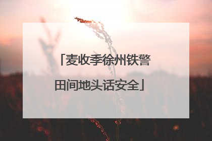 麦收季徐州铁警田间地头话安全