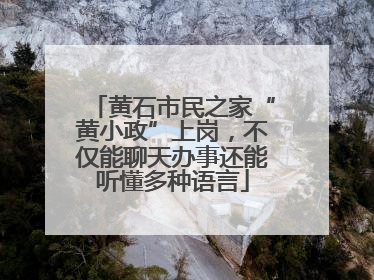 黄石市民之家“黄小政”上岗，不仅能聊天办事还能听懂多种语言