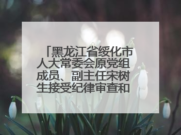 黑龙江省绥化市人大常委会原党组成员、副主任宋树生接受纪律审查和监察调查
