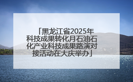 黑龙江省2025年科技成果转化月石油石化产业科技成果路演对接活动在大庆举办