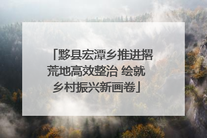 黟县宏潭乡推进撂荒地高效整治 绘就乡村振兴新画卷