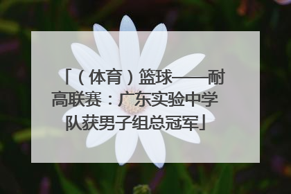 （体育）篮球——耐高联赛：广东实验中学队获男子组总冠军