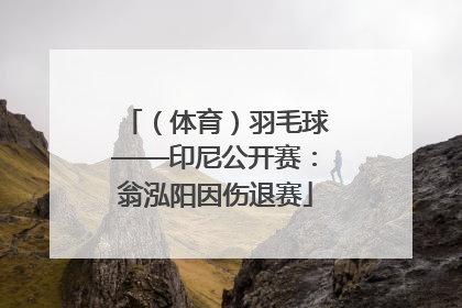 （体育）羽毛球——印尼公开赛：翁泓阳因伤退赛
