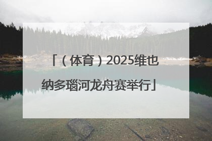 （体育）2025维也纳多瑙河龙舟赛举行