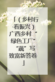 （乡村行·看振兴）广西乡村“绿色工厂” “蔬”写致富新答卷