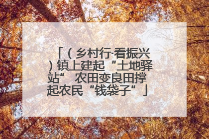 （乡村行·看振兴）镇上建起“土地驿站” 农田变良田撑起农民“钱袋子”
