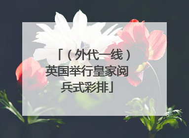 （外代一线）英国举行皇家阅兵式彩排