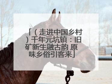 （走进中国乡村）千年元坑镇：旧矿新生融古韵 原味乡俗引客来