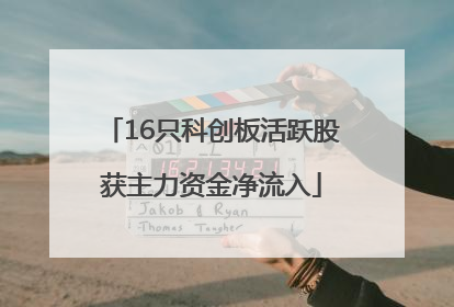 16只科创板活跃股获主力资金净流入