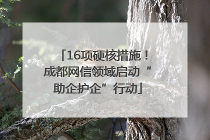 16项硬核措施！成都网信领域启动“助企护企”行动