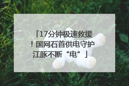 17分钟极速救援！国网石首供电守护江豚不断“电”
