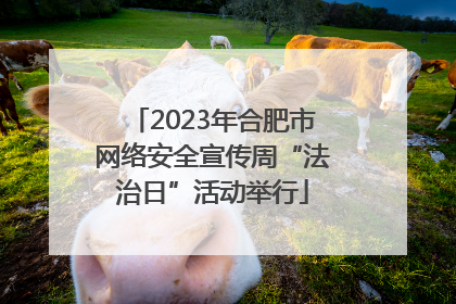 2023年合肥市网络安全宣传周“法治日”活动举行