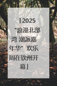 2025“浪漫北部湾 潮派嘉年华”欢乐周在钦州开幕