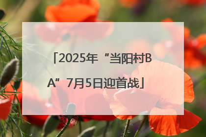2025年“当阳村BA”7月5日迎首战