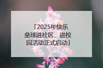 2025年快乐垒球进社区、进校园活动正式启动