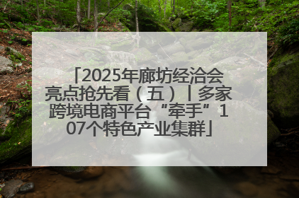 2025年廊坊经洽会亮点抢先看（五）丨多家跨境电商平台“牵手”107个特色产业集群