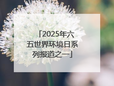 2025年六五世界环境日系列报道之一