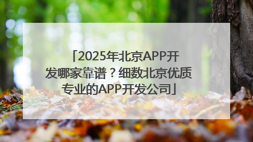 2025年北京APP开发哪家靠谱？细数北京优质专业的APP开发公司