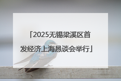 2025无锡梁溪区首发经济上海恳谈会举行