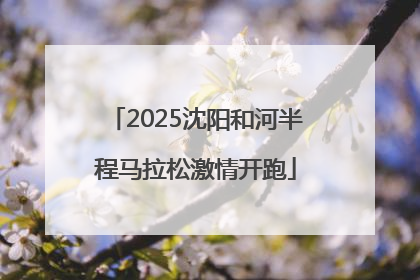 2025沈阳和河半程马拉松激情开跑