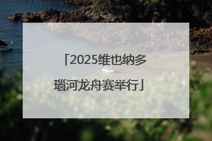2025维也纳多瑙河龙舟赛举行