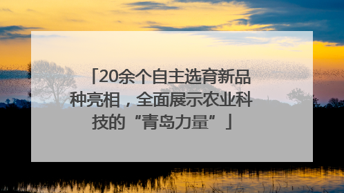 20余个自主选育新品种亮相，全面展示农业科技的“青岛力量”