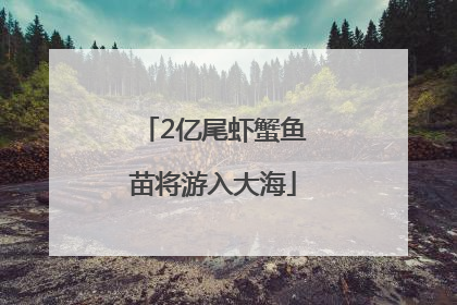 2亿尾虾蟹鱼苗将游入大海