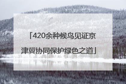 420余种候鸟见证京津冀协同保护绿色之道