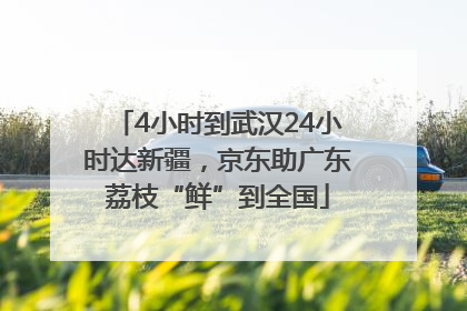 4小时到武汉24小时达新疆，京东助广东荔枝“鲜”到全国