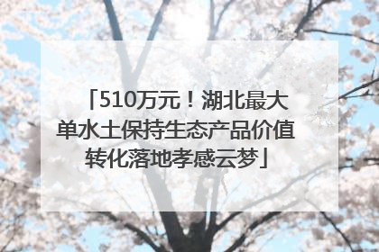 510万元！湖北最大单水土保持生态产品价值转化落地孝感云梦
