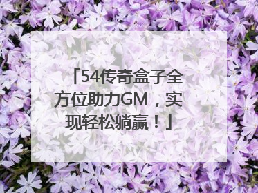 54传奇盒子全方位助力GM，实现轻松躺赢！