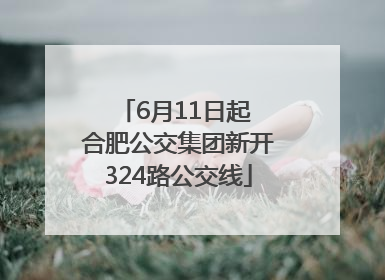 6月11日起 合肥公交集团新开324路公交线