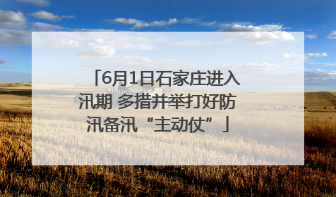 6月1日石家庄进入汛期 多措并举打好防汛备汛“主动仗”
