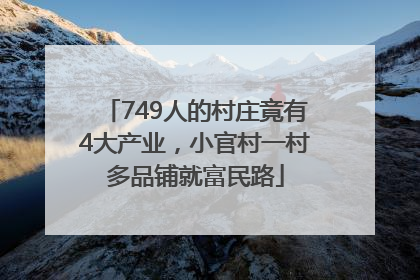 749人的村庄竟有4大产业，小官村一村多品铺就富民路