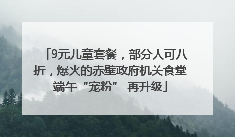 9元儿童套餐，部分人可八折，爆火的赤壁政府机关食堂端午“宠粉” 再升级