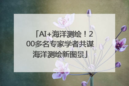 AI+海洋测绘！200多名专家学者共谋海洋测绘新图景