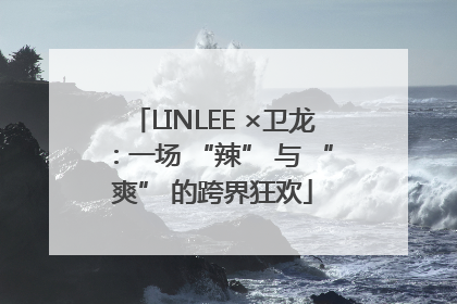 LINLEE ×卫龙：一场 “辣” 与 “爽” 的跨界狂欢