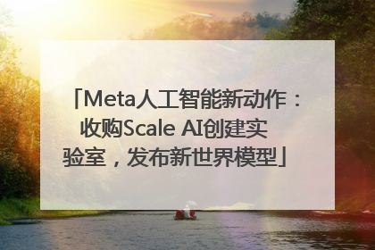 Meta人工智能新动作：收购Scale AI创建实验室，发布新世界模型