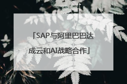 SAP与阿里巴巴达成云和AI战略合作