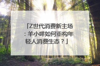 Z世代消费新主场：羊小咩如何重构年轻人消费生态？